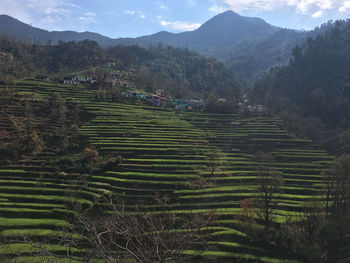 Scenic view of agricultural field against mountains