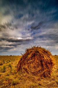 Hay bales on field against sky