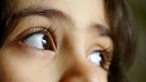 Close-up of human eye