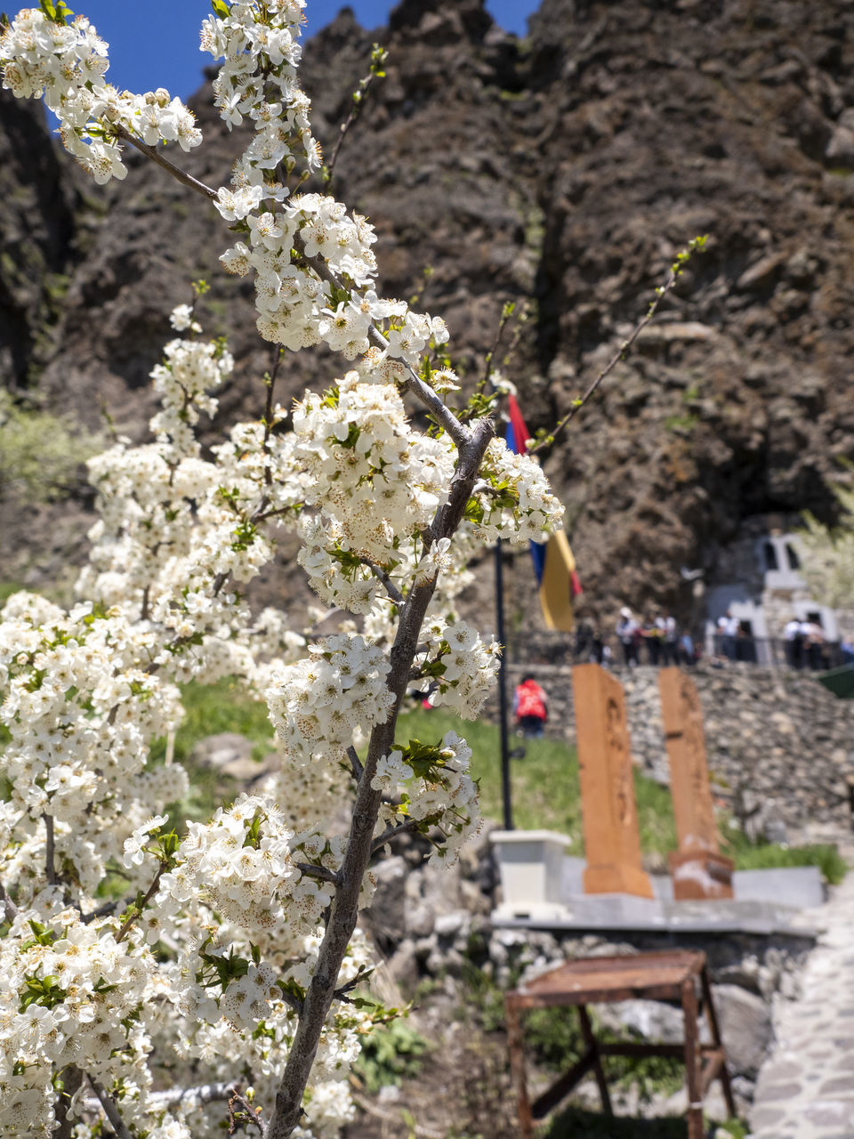 plant, flower, flowering plant, nature, tree, beauty in nature, day, no people, freshness, spring, springtime, growth, blossom, mountain, outdoors, rock, architecture, cherry blossom, sunlight, fragility, religion, travel destinations, sky, tranquility, focus on foreground, built structure