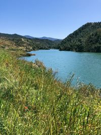 Scenic view of lake against clear sky