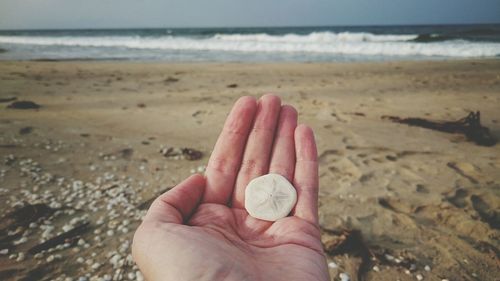 Close-up of hand holding sand on beach