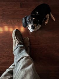 Low section of man with dog standing on hardwood floor