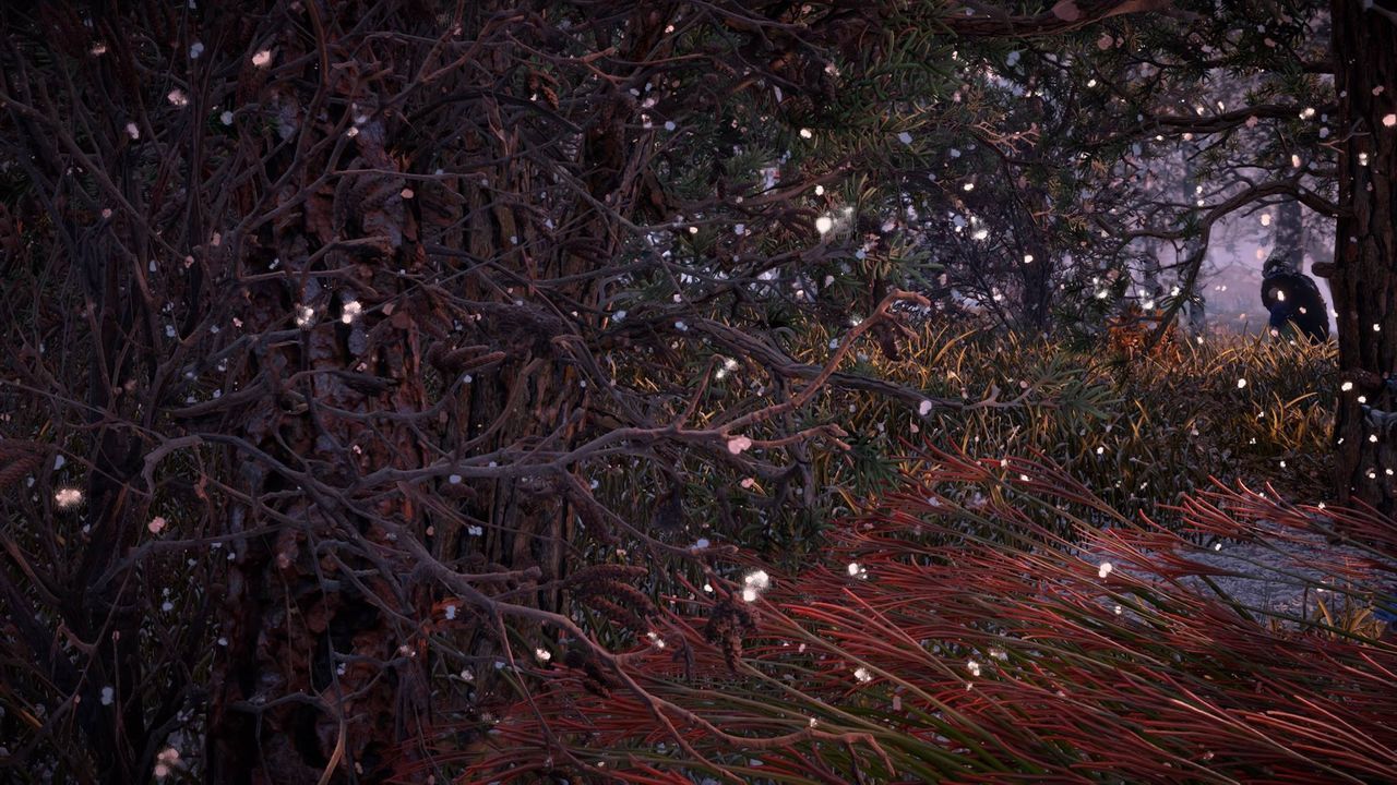 FULL FRAME SHOT OF TREES GROWING IN FOREST