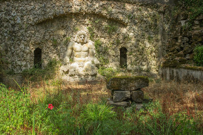 Close-up of statue