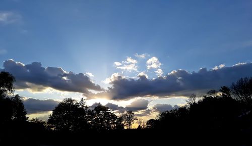 Low angle view of silhouette trees against sky during sunset