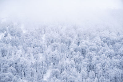 Bakuriani, georgia