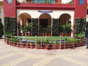 Potted plants against building