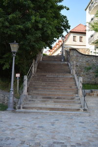 Low angle view of steps amidst trees and building