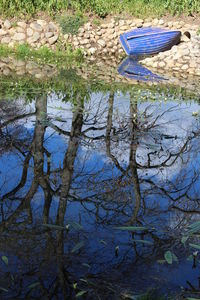 Reflection of trees in puddle