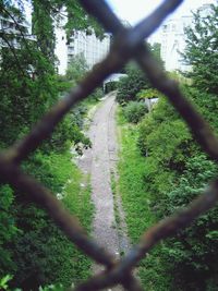 Plants growing in park