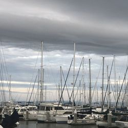 Sailboats moored at harbor against sky