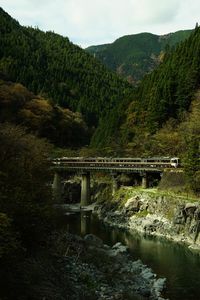 Limited express hida running on the takayama line in autumn