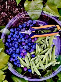 healthy eating