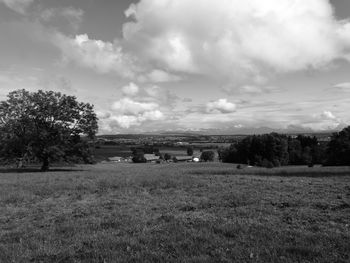 Trees on field against sky