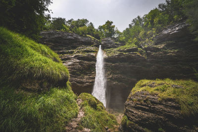 Scenic view of waterfall in forest