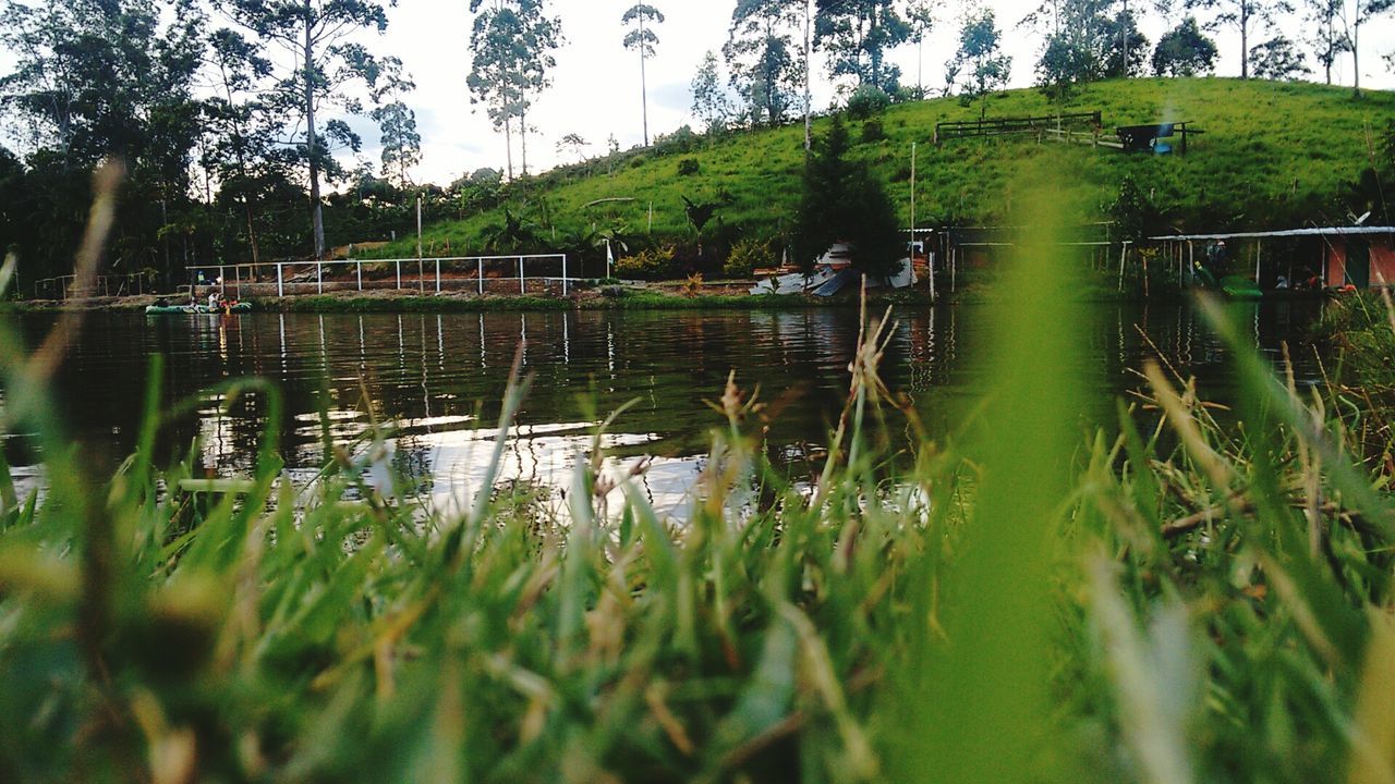 El Tambo, Cauca