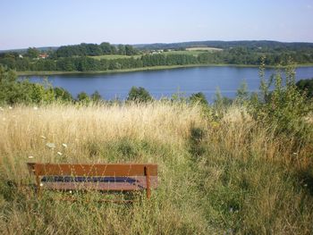 Scenic view of lake with trees in background