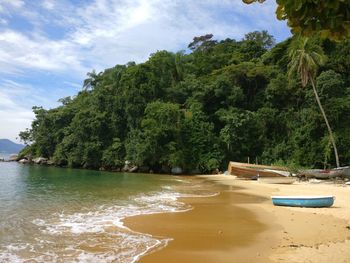Trees on beach against sky
