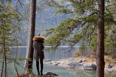 Rear view of teenage girl standing by lake in forest