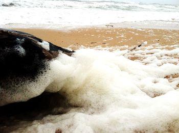 Close-up of waves on beach