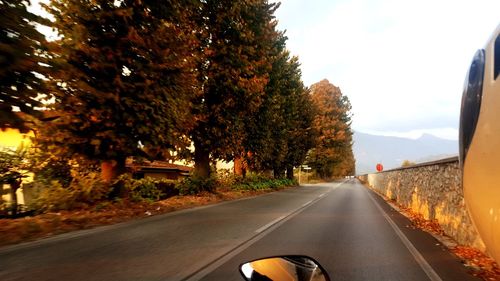 Road amidst trees seen through car windshield