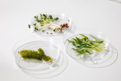 Close-up of food in glass against white background