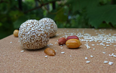 Close-up of shells on land