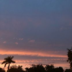 Silhouette trees against sky during sunset