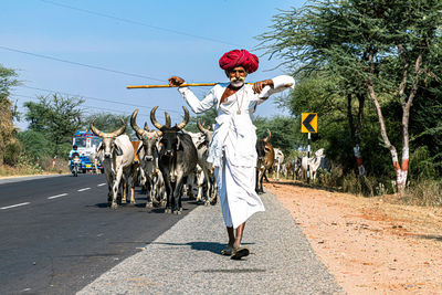 People riding motorcycle on road