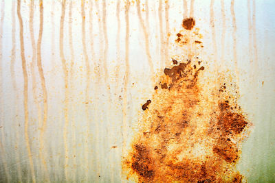 Close-up of rusty metal against wall