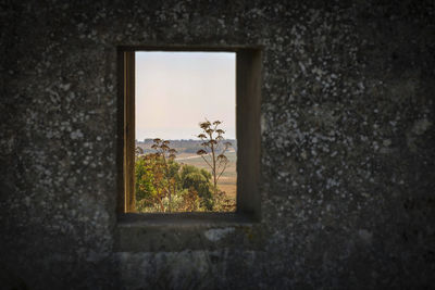 Close-up of window on wall