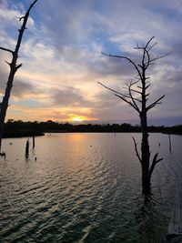 Silhouette bare tree by lake against sky during sunset