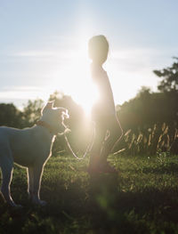 Dog standing on field against sky