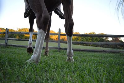 Low section of man running on grass