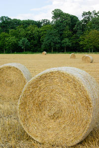 Hay bales on field against sky