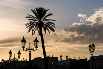 Low angle view of silhouette palm trees against sky