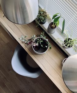 High angle view of potted plant on table