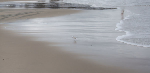View of sea