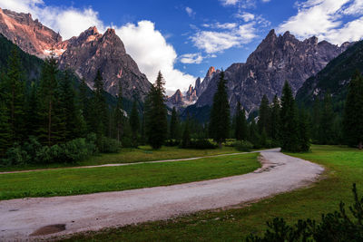 Forest path in the dolomites, val fiscalina