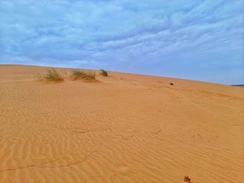 Sand dunes and cloud sky in desert
