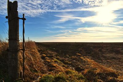 Scenic view of field against sky