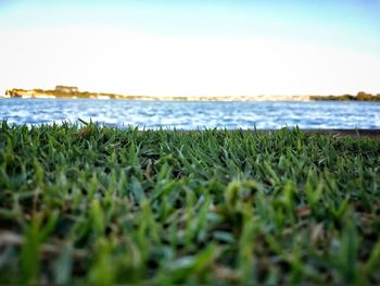 Surface level of sea against clear sky