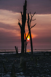 Sunset over sea