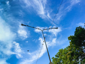 Low angle view of birds on cables against blue sky