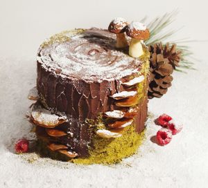 Close-up of chocolate cake on plate against white background