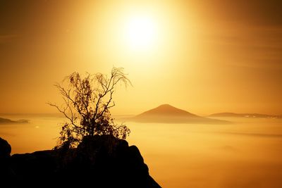 The island with tree. full moon night in a beautiful mountain. sandstone peaks increased from fog