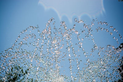 Low angle view of birds flying against blue sky