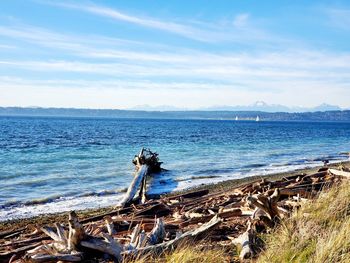 Scenic view of sea against sky
