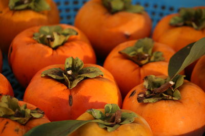 Close-up of fruits and vegetables